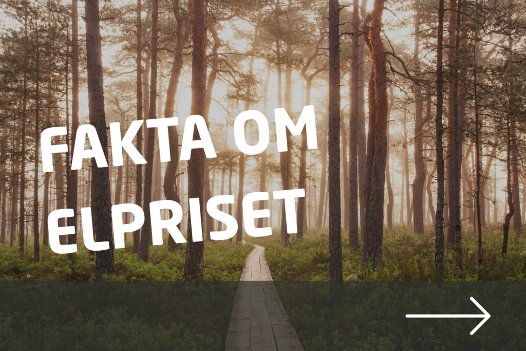 Fakta om elpriset för student